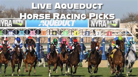 aqueduct racing picks.
